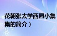 花朝张太学西园小集（关于花朝张太学西园小集的简介）
