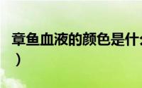 章鱼血液的颜色是什么（章鱼血液的颜色介绍）
