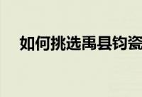 如何挑选禹县钧瓷（怎样挑选禹县钧瓷）