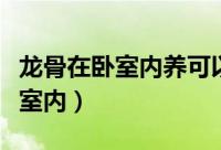 龙骨在卧室内养可以吗吗（龙骨能不能养在卧室内）