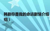 韩剧你是我的命运剧情介绍（关于韩剧你是我的命运剧情介绍）