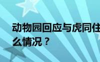 动物园回应与虎同住1小时奖10万 到底是什么情况？