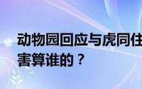 动物园回应与虎同住1小时奖10万 被老虎伤害算谁的？