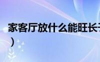 家客厅放什么能旺长子（家里放什么最旺儿子）