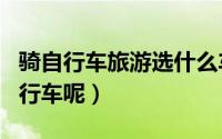 骑自行车旅游选什么车好（旅游适合骑什么自行车呢）