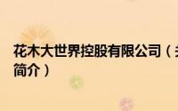 花木大世界控股有限公司（关于花木大世界控股有限公司的简介）