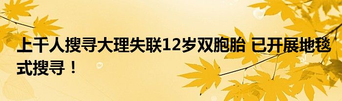 上千人搜寻大理失联12岁双胞胎 已开展地毯式搜寻！