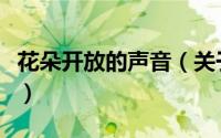 花朵开放的声音（关于花朵开放的声音的简介）
