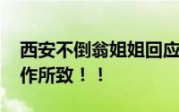 西安不倒翁姐姐回应生娃后面容憔悴 熬夜工作所致！！