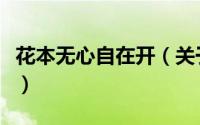 花本无心自在开（关于花本无心自在开的简介）