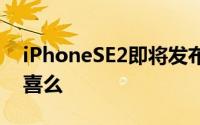 iPhoneSE2即将发布看完外观和价格你会惊喜么