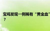 宝鸡发现一例稀有“黄金血”血型 什么是“黄金血”血型 ？？