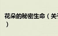 花朵的秘密生命（关于花朵的秘密生命的简介）