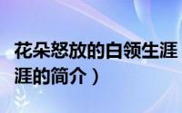 花朵怒放的白领生涯（关于花朵怒放的白领生涯的简介）