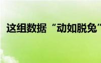 这组数据“动如脱兔” 对兔年的美好期待！