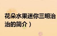 花朵水果迷你三明治（关于花朵水果迷你三明治的简介）