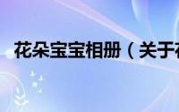 花朵宝宝相册（关于花朵宝宝相册的简介）
