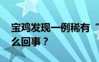 宝鸡发现一例稀有“黄金血”血型 到底是怎么回事？