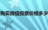 购买微信投票价格多少,人工投票一票多少钱？