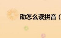 劭怎么读拼音（劭是什么意思）