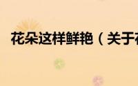 花朵这样鲜艳（关于花朵这样鲜艳的简介）