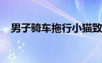 男子骑车拖行小猫致死 到底是怎么回事？
