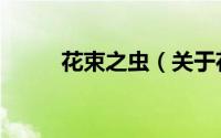 花束之虫（关于花束之虫的简介）