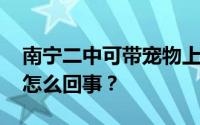 南宁二中可带宠物上学？学校：属实 到底是怎么回事？