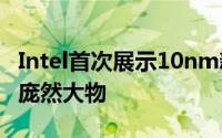 Intel首次展示10nm新架构IceLake-SPXeon庞然大物