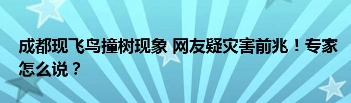 成都现飞鸟撞树现象 网友疑灾害前兆！专家怎么说？
