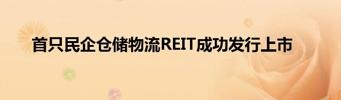 首只民企仓储物流REIT成功发行上市