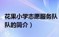 花果小学志愿服务队（关于花果小学志愿服务队的简介）