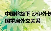 中国斡旋下 沙伊外长在北京首次会晤 讨论两国重启外交关系