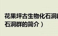 花果坪古生物化石洞群（关于花果坪古生物化石洞群的简介）