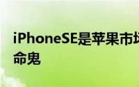 iPhoneSE是苹果市场策略分水岭恐将成为短命鬼