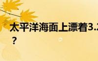 太平洋海面上漂着3.2吨毒品！到底从何而来？