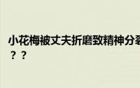 小花梅被丈夫折磨致精神分裂 铁链栓在脖子上怎么可能不疯？？