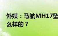 外媒：马航MH17坠机案调查暂停 详情是怎么样的？