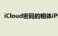 iCloud密码的粗体iPhone小偷消息所有者