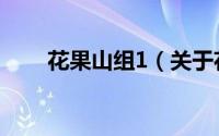 花果山组1（关于花果山组1的简介）