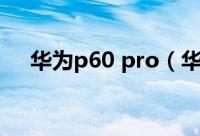 华为p60 pro（华为p60怎么隐藏应用）