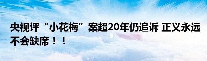 央视评“小花梅”案超20年仍追诉 正义永远不会缺席！！