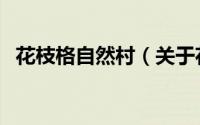 花枝格自然村（关于花枝格自然村的简介）