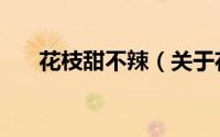 花枝甜不辣（关于花枝甜不辣的简介）