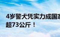 4岁警犬凭实力成国家首批功勋犬！累计缴毒超73公斤！