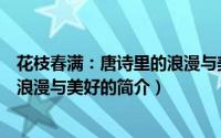 花枝春满：唐诗里的浪漫与美好（关于花枝春满：唐诗里的浪漫与美好的简介）