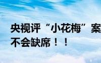 央视评“小花梅”案超20年仍追诉 正义永远不会缺席！！
