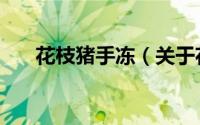 花枝猪手冻（关于花枝猪手冻的简介）