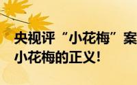 央视评“小花梅”案超20年仍追诉 这是属于小花梅的正义!