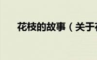 花枝的故事（关于花枝的故事的简介）